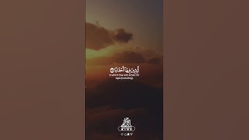 القارئ زيد الدليمي