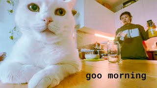 Its Called Boundaries... (December Daily Vlog no.6)
