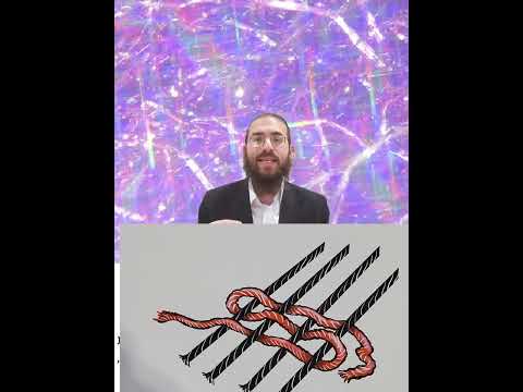Shabbat Chapter 13 - Youtube
