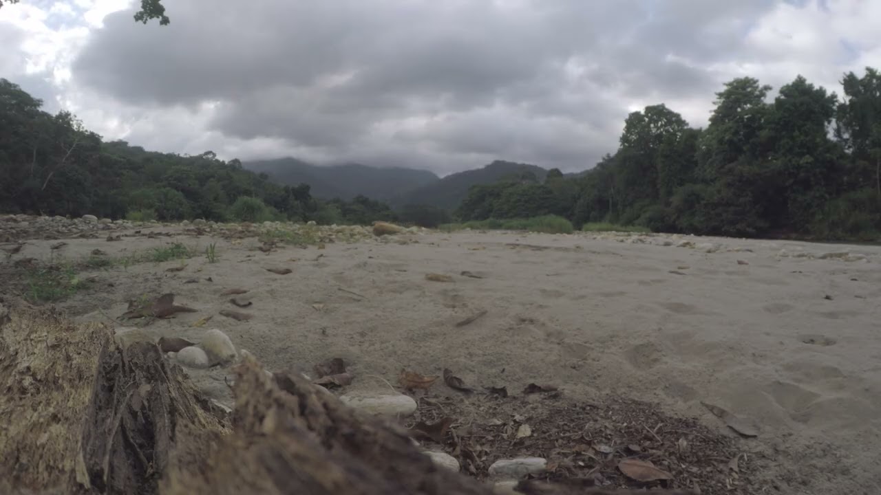 Clouds Building Over a Caribbean Jungle River | 10 Minutes