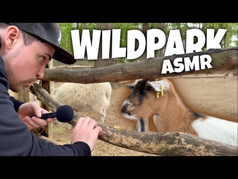 ASMR im WILDPARK [deutsch/german]
