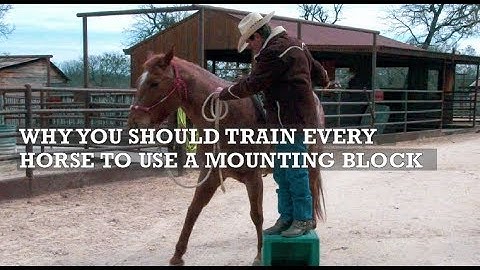 Why & How to Train Your Horse for a Mounting Block