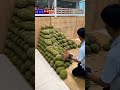 #shortvideo #durian