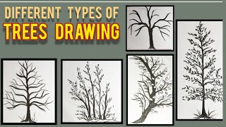Different Types Of Trees Drawings L How To Draw Trees Trees Sketching L Trees Line Drawing