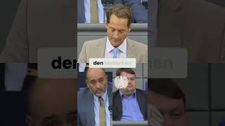AFD im Bundestag.Klimakollaps? Panikmache vs. Realität: Eine Analyse #shorts
