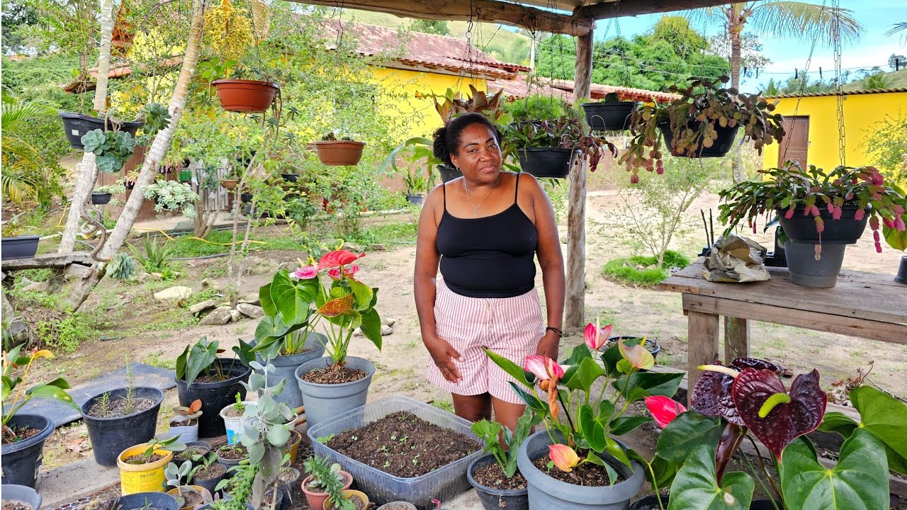 MUITAS PLANTAS NESSE LINDO PARAÍSO! 