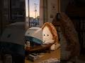 動画編集で徹夜明けのあみぐるみ