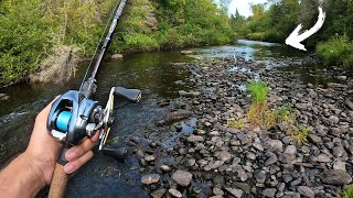 Fishing HIDDEN River for UNTOUCHED Fish