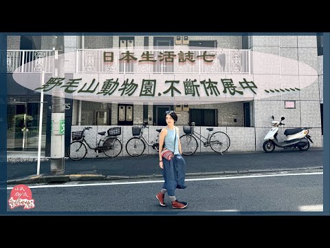 超奇怪美式糖果開箱實測！真的像在吃蠟？！｜野毛山動物園散步日常｜橫濱展覽佈展紀錄＆開幕茶會｜台灣藝術家的日本旅居生活7｜第226集《以紙雕成藝術家做什麼》91－@日本