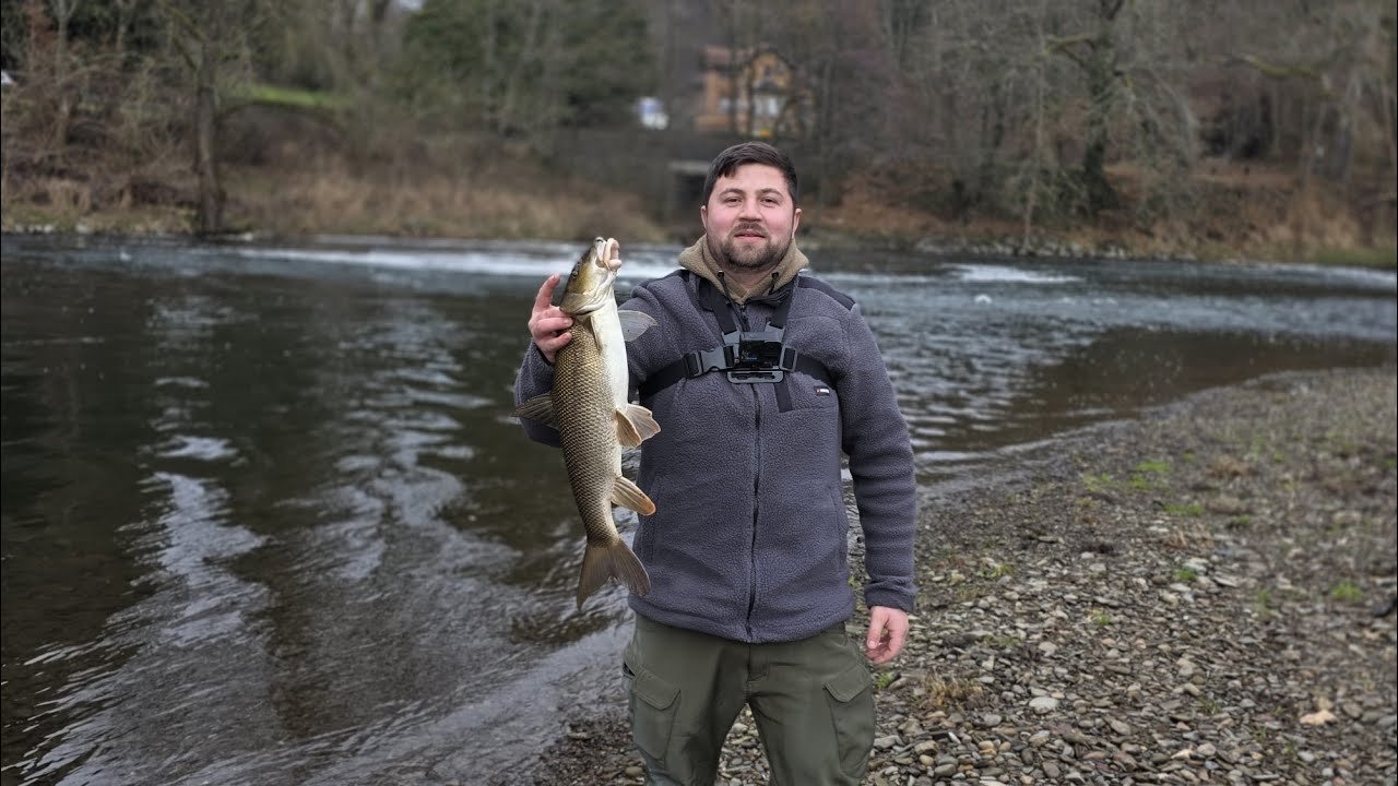 Pecanje Na Plovak (Jaka Pecanja) Mrena Klen Jazz