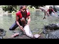 Survival in forest: Found & Catch fish in Waterfall - Cooking Big fish & Eating delicious in Jungle