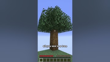 skyblock in 44 seconds