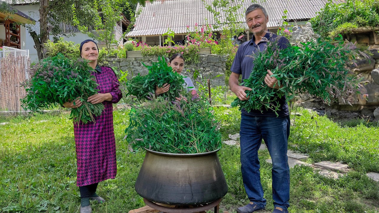 Stewed Green Beans and Summer Mint Drink! Delicious Village Recipes