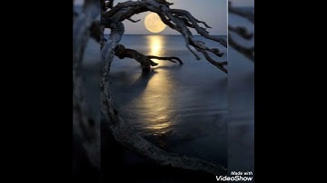 سورة الفلق بصوت الشيخ عبد الرحمن السديس.