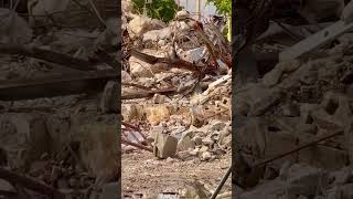 In violation of their own plan, the County destroyed historic architectural pieces.