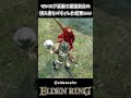 マレニア装備で最強気分の侵入者をパリィしてみたｗｗ【ELDEN RING】