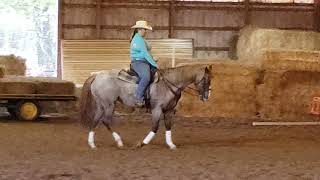 Sara Justice Ima Sizzlin Hot Te Heart of the Horse Intro 1 Open