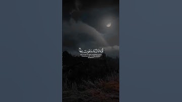 القران الكريم حياة القلوب