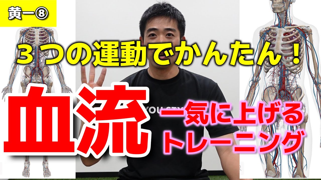 【黄ー８】体が冷える？血管・血流改善するならこれ！