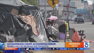 Accounting glitch inflated Los Angeles homeless count, report says