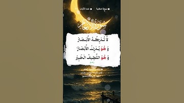 📚 سورة الأنعام🌳 الآية 103 #اكسبلور #المصحف #تيك_توك