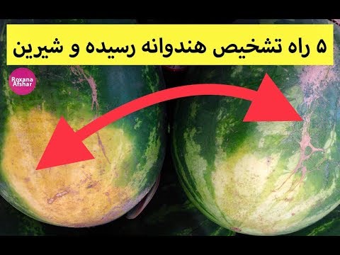 تصویری: چگونه یک خربزه رسیده و سالم انتخاب کنیم