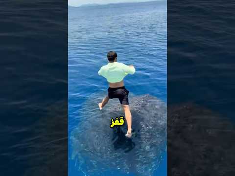 لقد اصطاد الأسماك بعبقرية