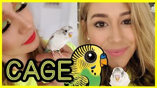 SETTING UP MY BUDGIE BIRD CAGE |BONDBEAUTYSJUNGLE