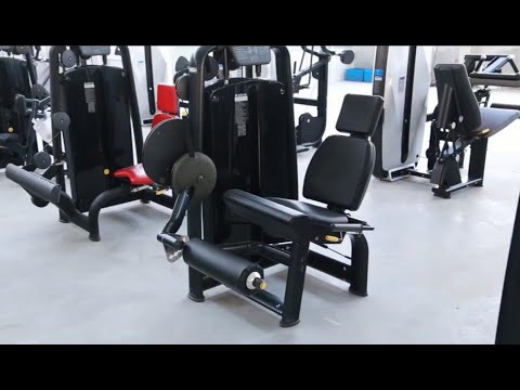 China Factory Direct Supply Leg Extension Technogym TZ-6002 Pin Loaded Machines on SALE