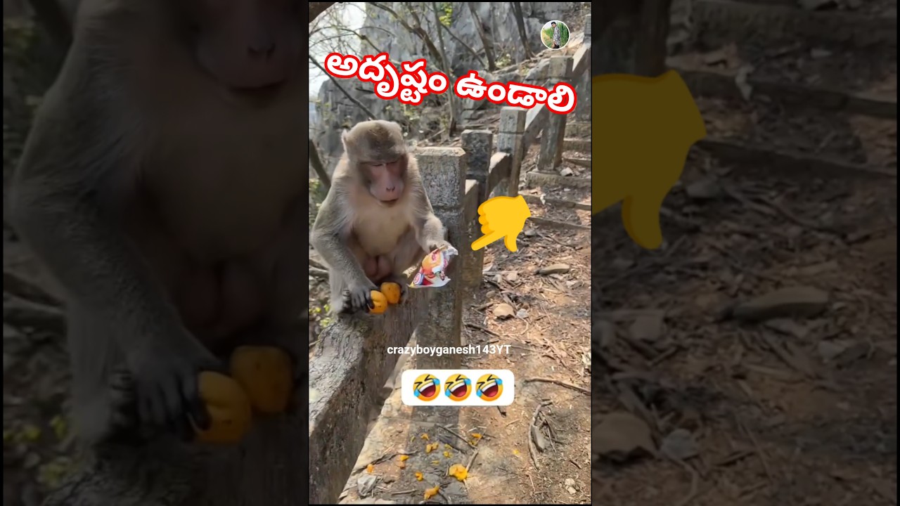 adrustam vundali 😄❤️😆