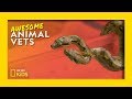 Animal Health and Behavior Assessment