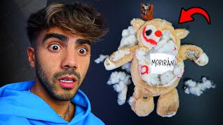 Thumbnail for ALFA ME MANDO UN MENSAJE