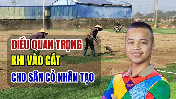 Điều quan trọng khi vào cát cho sân cỏ nhân tạo