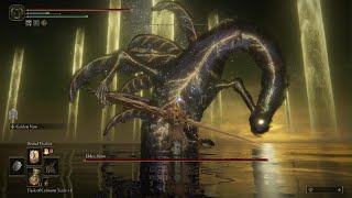 Elden Beast Boss Fight (Radagon Phase 2)