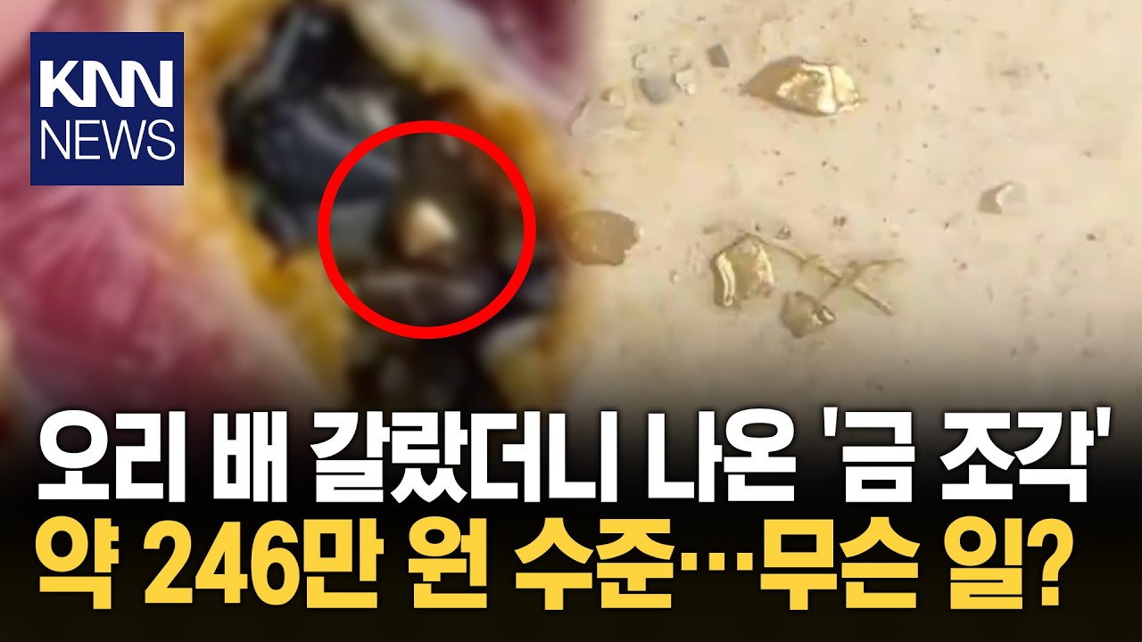 자신이 키우던 오리 위 속 '반짝' 남성 눈에 띈 물질…무슨 일? / KNN