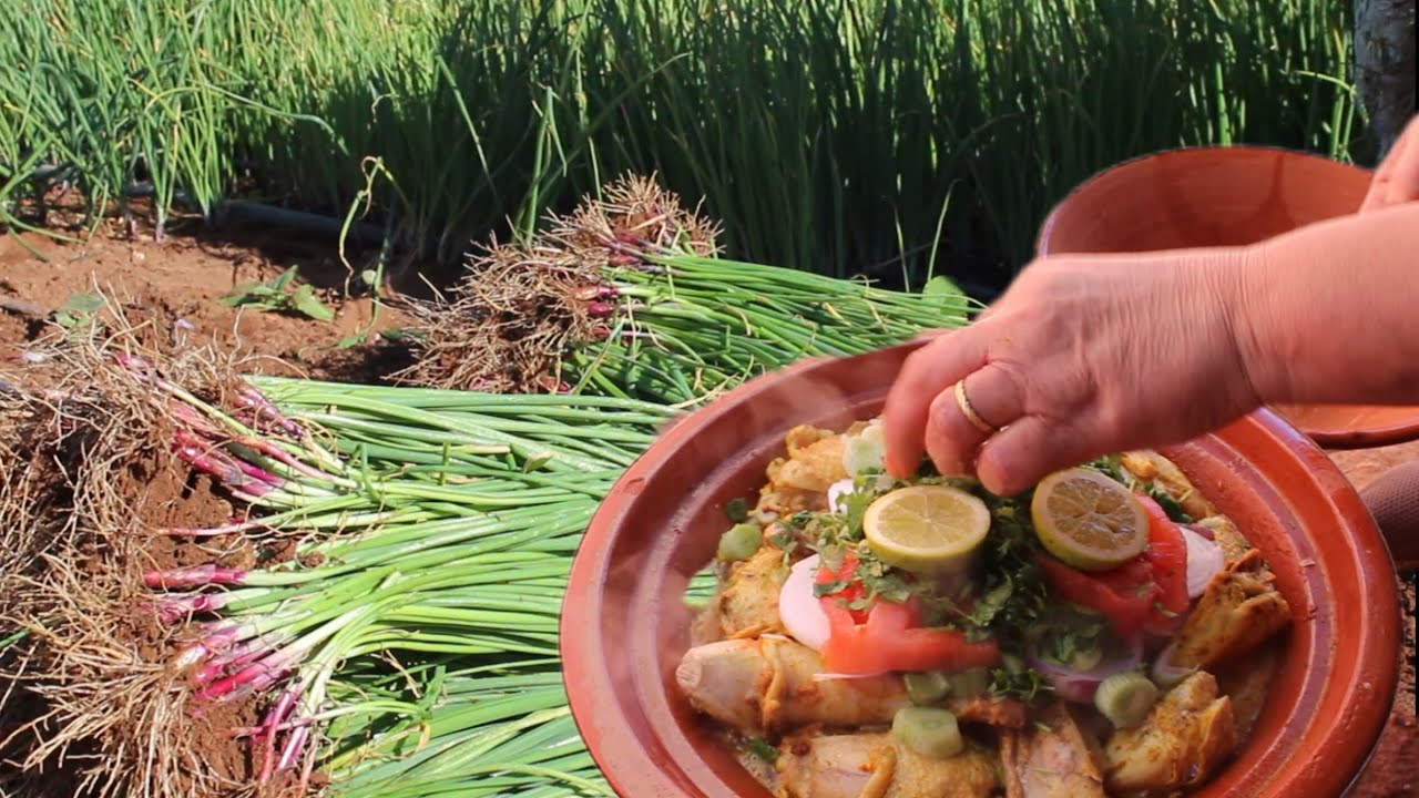 طاجين الدجاج البلدي بالبادية 🇲🇦👌 مرحلة من مراحل زراعة البصل