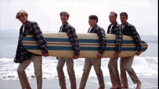 The Beach Boys-Surfer Girl-45 RPM Vinyl Record|Acoustic Sounds