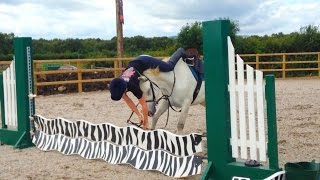 HORSE FAIL X3
