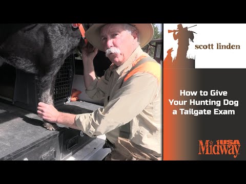 How to Give Your Hunting Dog a Tailgate Exam | Scott Linden
