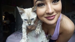 GETTING MY NEW KITTY AND LIP INJECTIONS! | Weekly Vlog