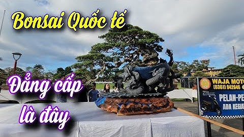 Một số tác phẩm bonsai đẳng cấp tại Festival Bonsai và Suiseki Châu Á lần thứ 17 tại Indonesia