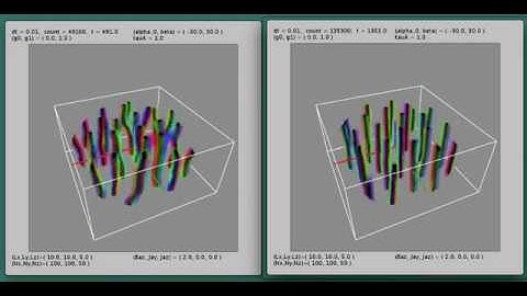Quantum vortices in rotating superfluid: phase display