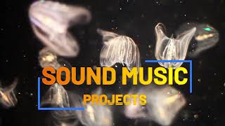 Download Lagu SOUND MUSIC PROJECTS 05,NOVEMBER 2024 #musikdj #musikviral #music MP3