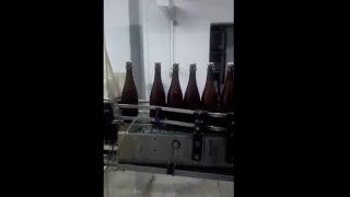 Engarrafamento De Espumante