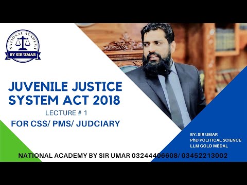 JUVENILE JUSTICE SYSTEM,