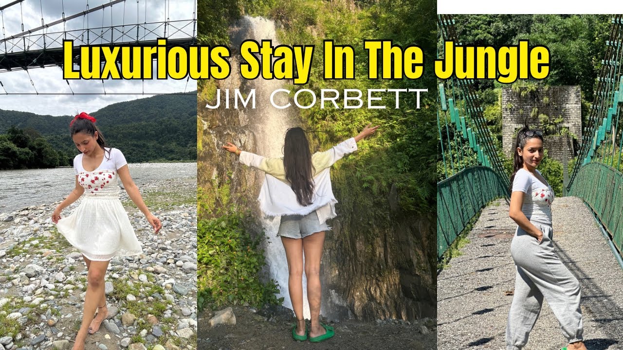 Nature Detox at Solluna Resort , Jim Corbett