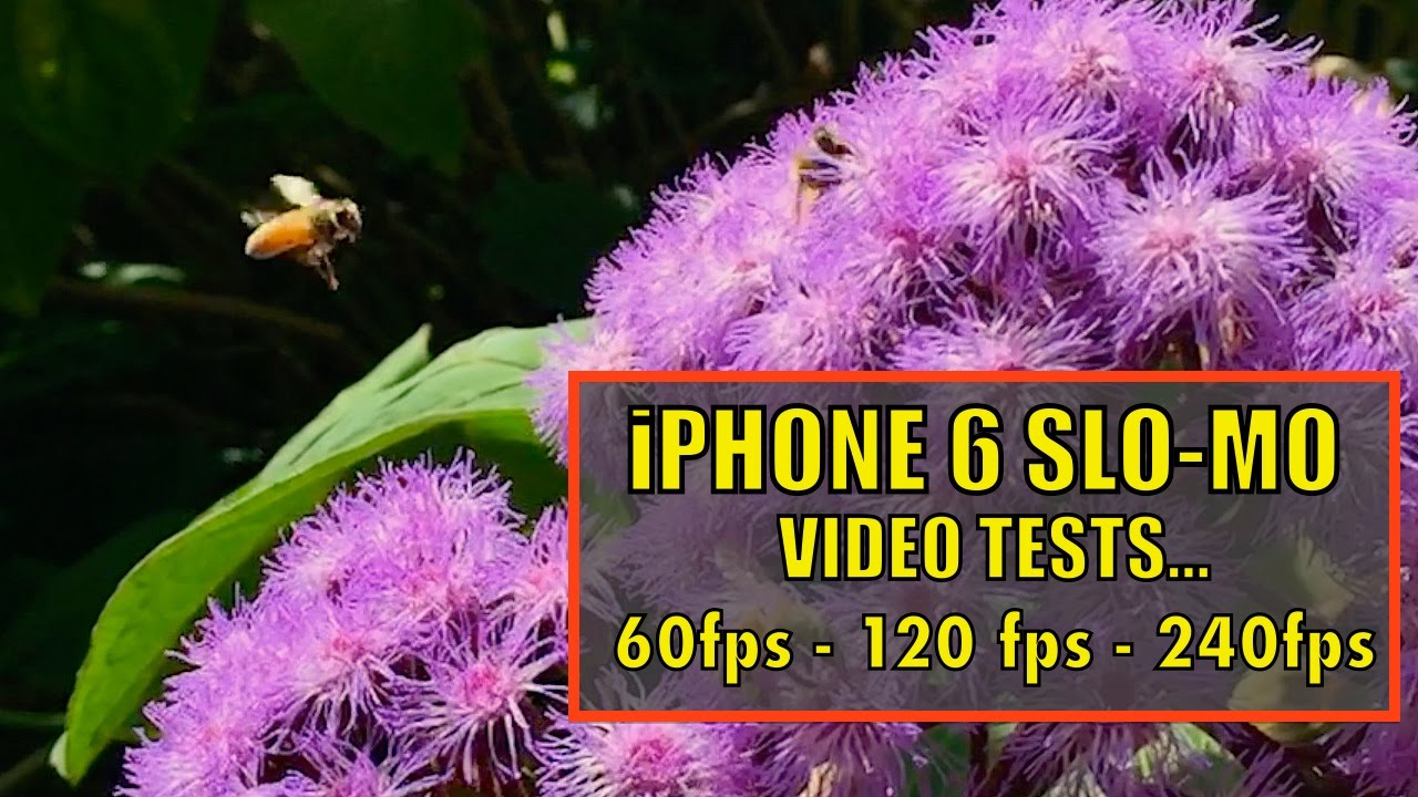 iPhone 6 Slow-Motion Video Tests…