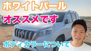 ランクルプラド【ボディカラー】について説明します。オススメはホワイトパール！