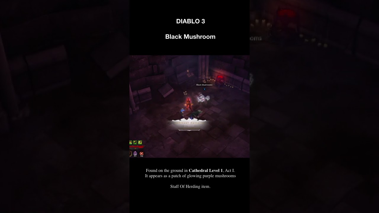 Enormous Mushrooms anyone ? #diablo3 #blackmushroom #staffofherding