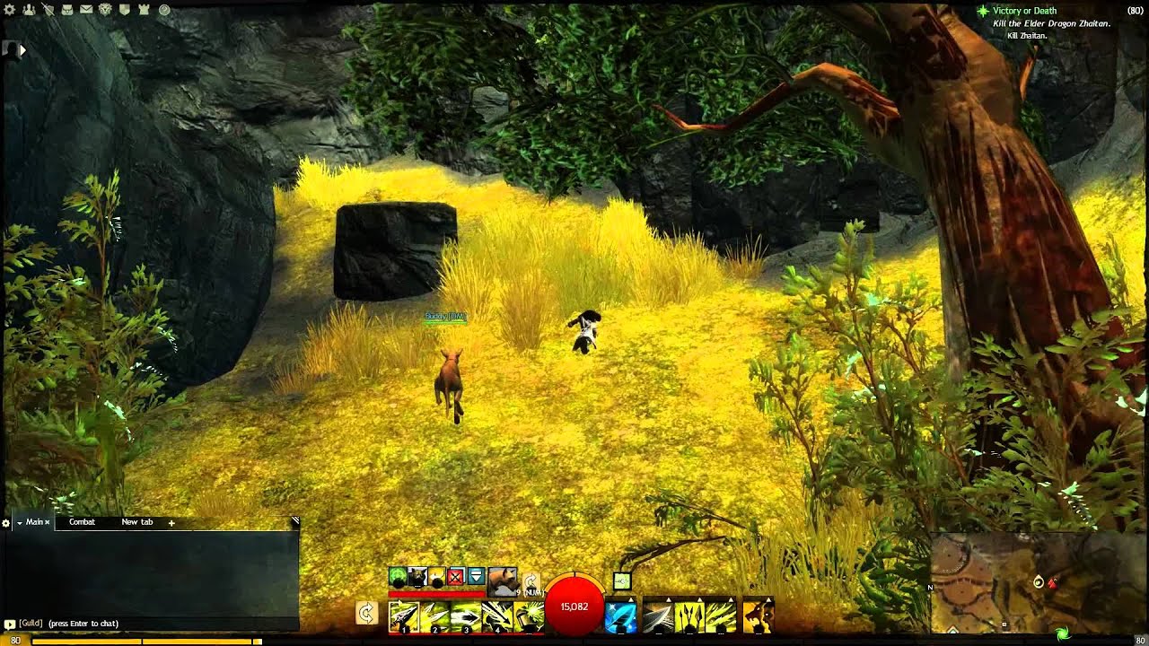 Tricky Vistas: Lion's Arch Mountain Vista + Pirate Jumping Puzzle